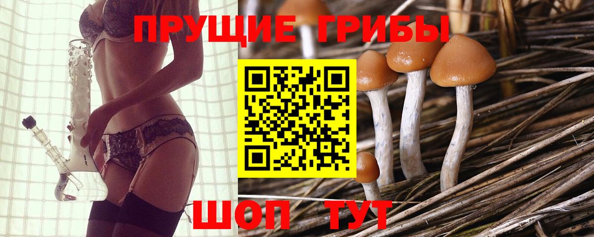 Карачаевск  наркота  Вход с VPN  Псилоцибиновые грибы мицелий 